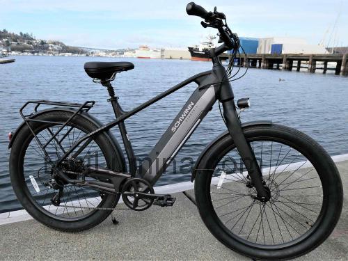 Schwinn Coston DX ficha técnica y opiniones